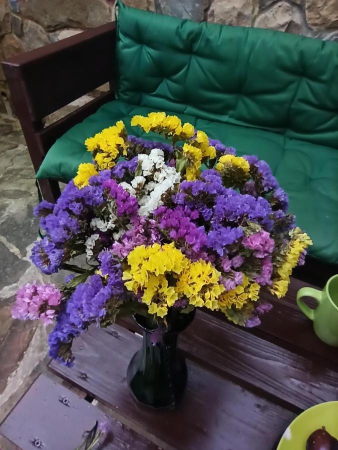 Котедж "Солард" Yaremche Luaran gambar