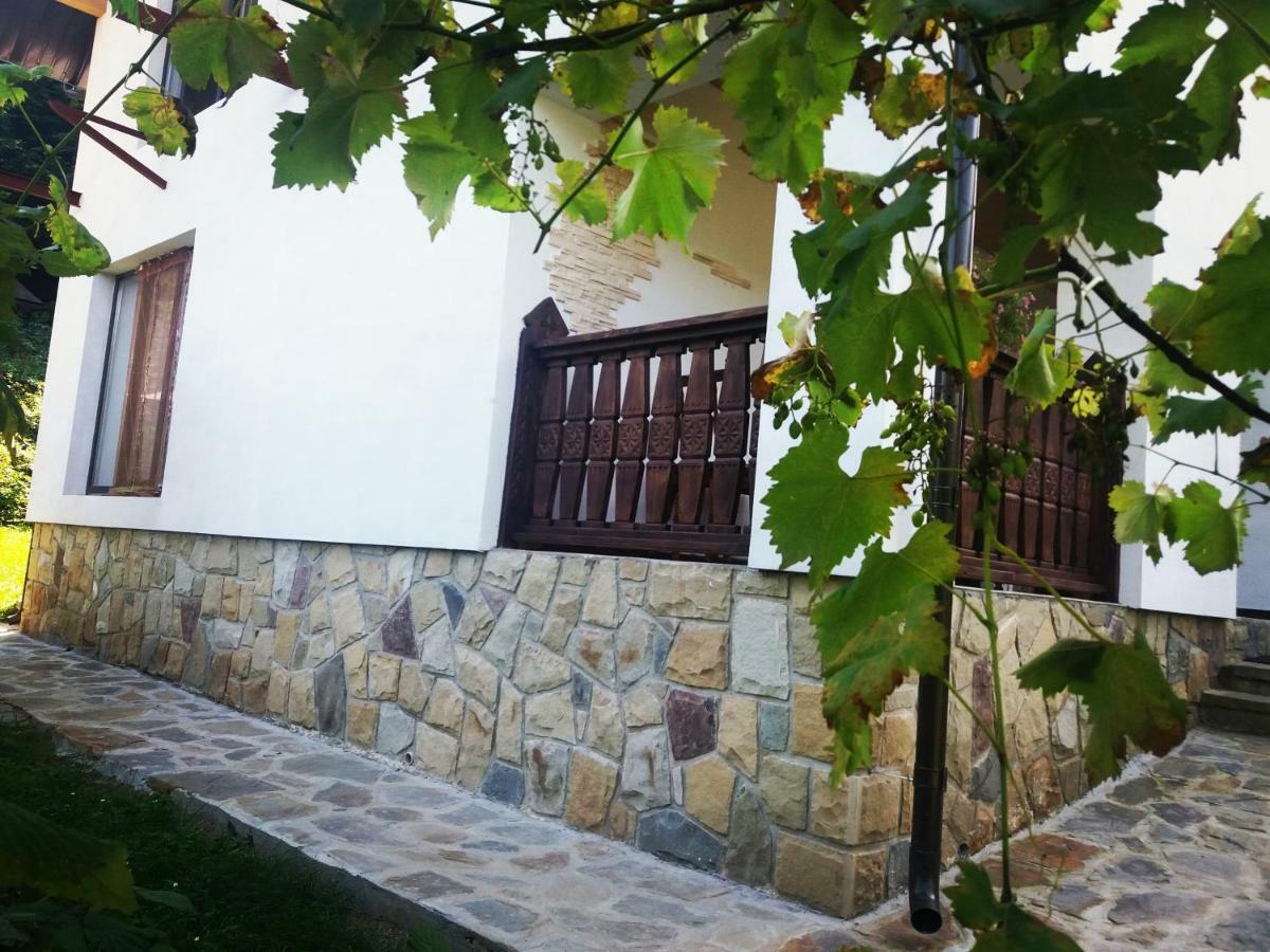 Котедж "Солард" Yaremche Luaran gambar